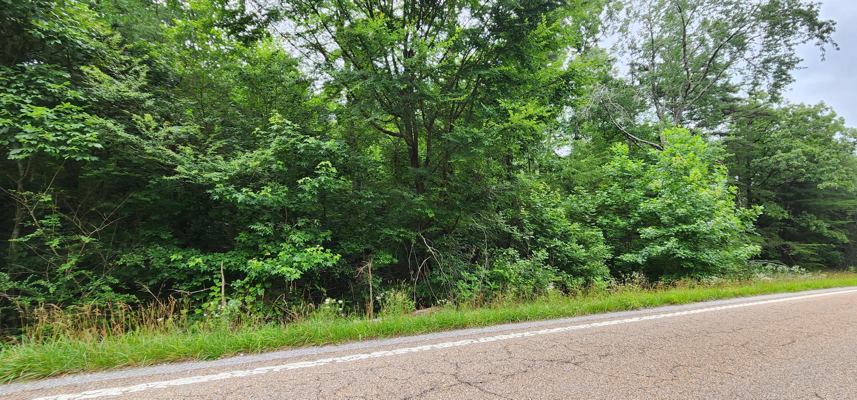 0 Sequatchie Mountain Road Sequatchie, TN 37374 - Photo 5 of 9 1000053940
