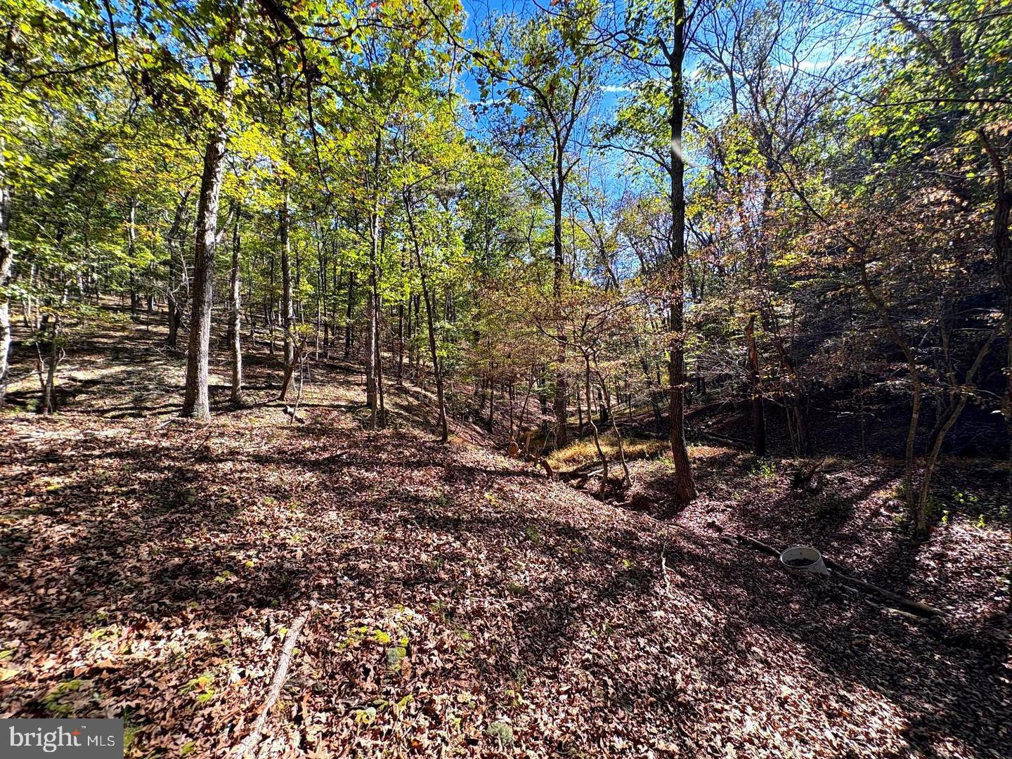 7313 Little Cacapon Road Romney, WV 26757 - Photo 37 of 38