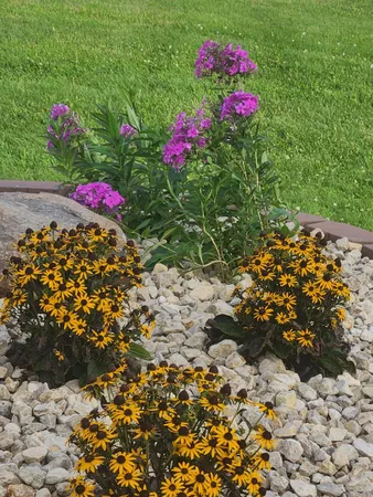 $475,000 | W934 510th Avenue, Elmwood, WI 54740