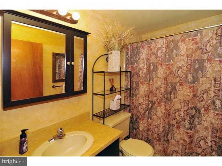 4974 Lanark Road Center Valley, PA 18034 - Photo 10 of 13 Bathroom