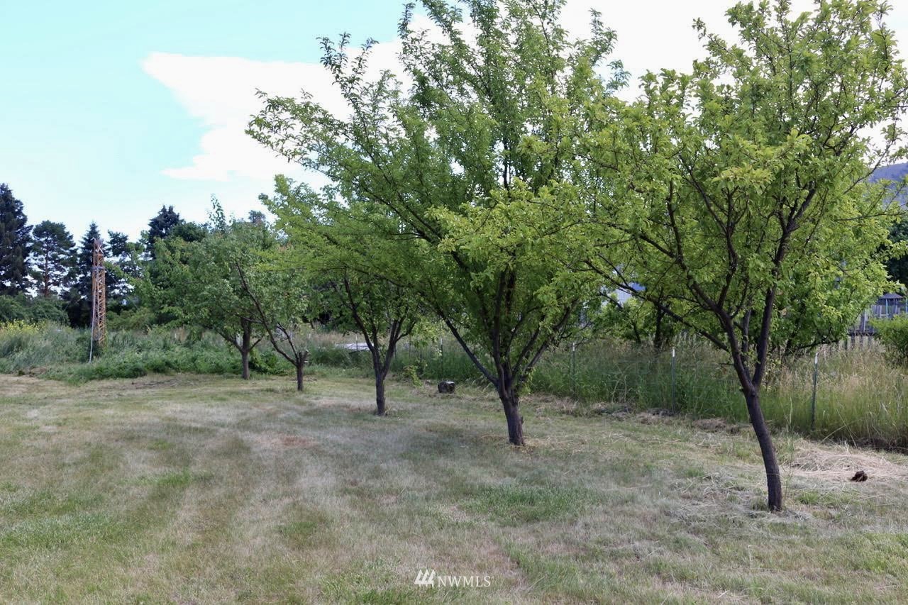 11 Emery Road Oroville, WA 98844 - Photo 23 of 29 Gallery Image 23