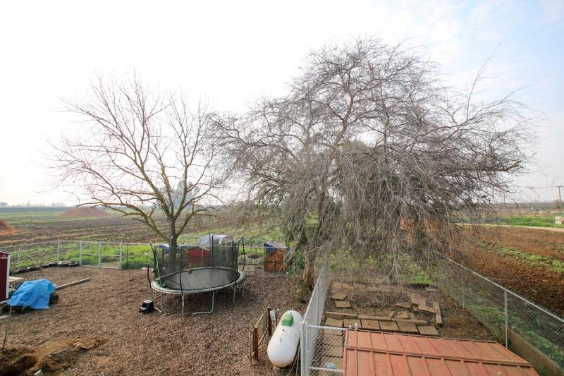 8053 South Rio Avenue Reedley, CA 93654 - Photo 28 of 30 a view of a backyard with table and chairs potted plants and large tree