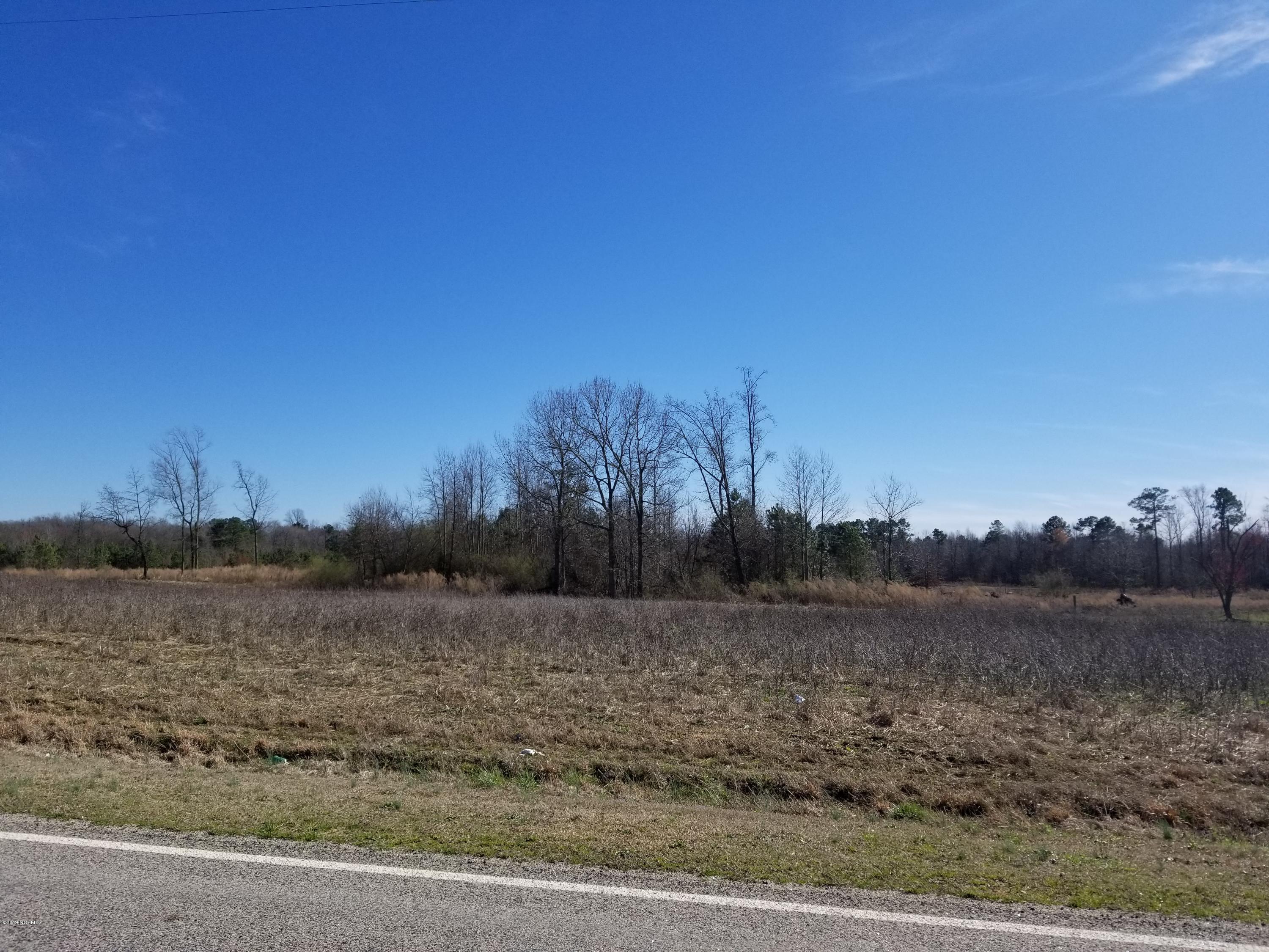 A-b Watson Seed Farm Road Whitakers, NC 27891 - Photo 1 of 1 Corner Lot