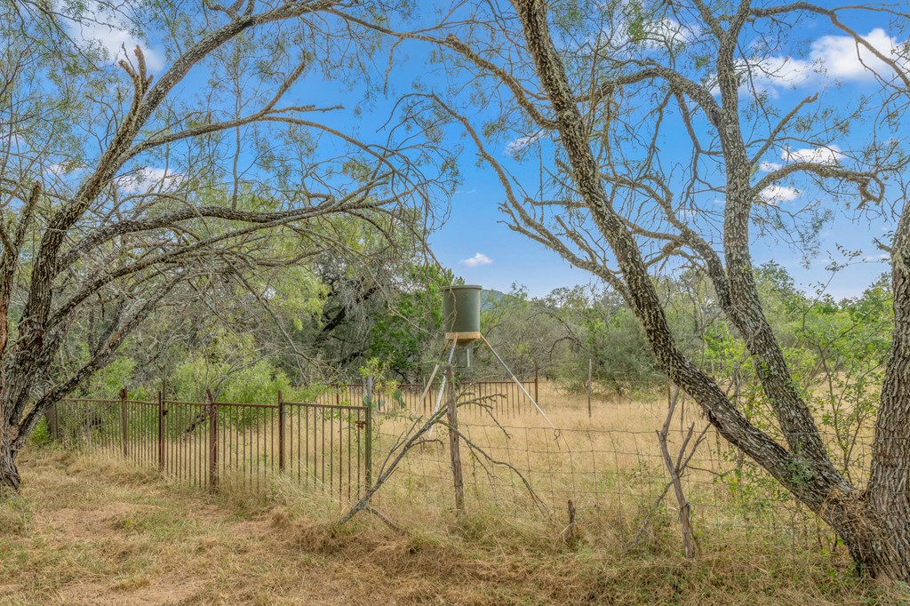 677 Kahn Drive Rio Frio, TX 78879 - Photo 18 of 32