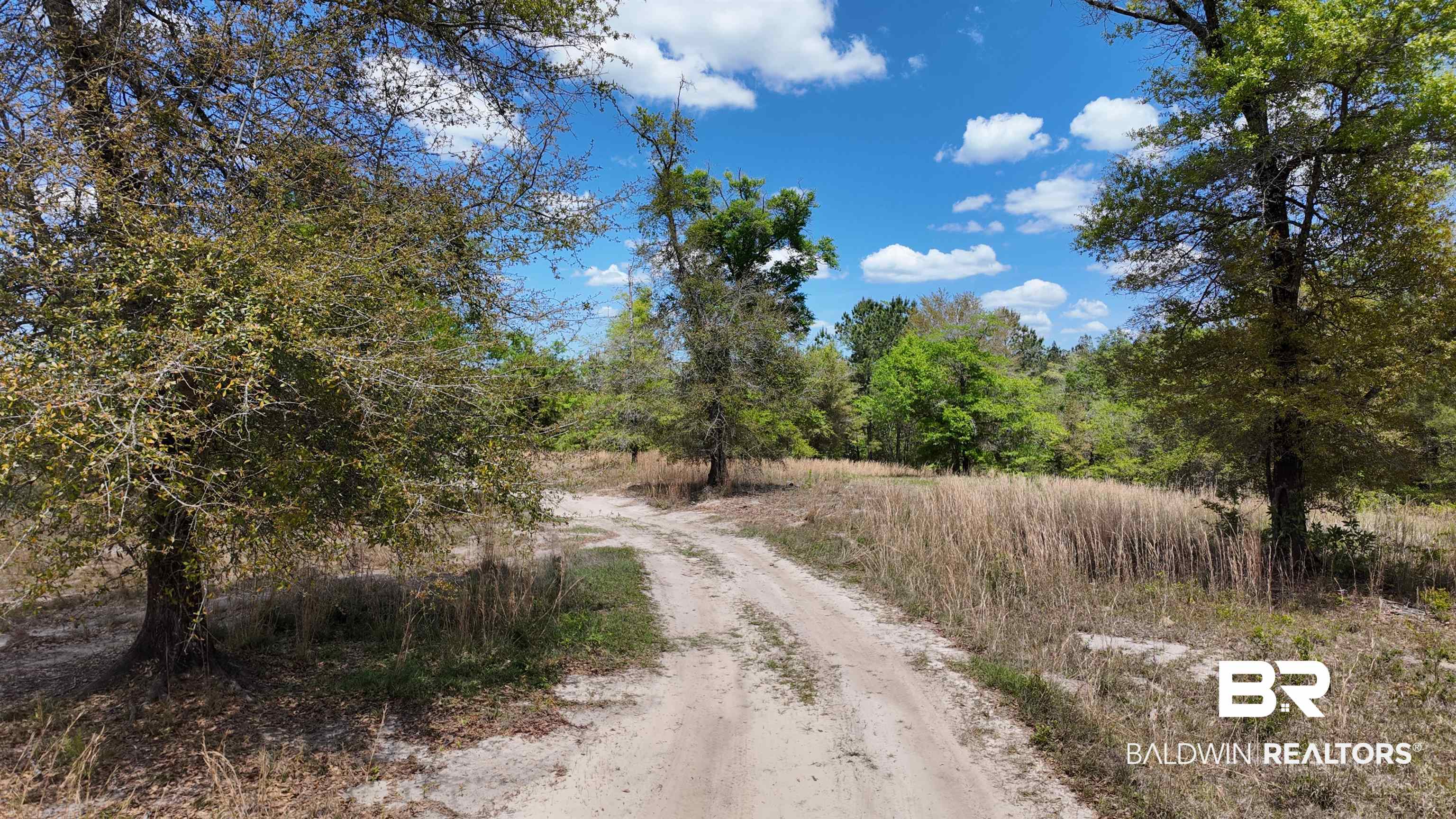 0 Powell Road Eight Mile, AL 36613 - Photo 31 of 57