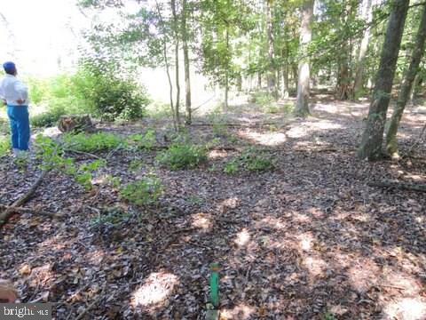 Lot 5 Asketum Branch Road, Unit 5 Georgetown, DE 19947 - Photo 3 of 15 Gallery Image 3