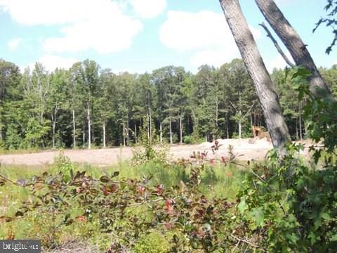 Lot 5 Asketum Branch Road, Unit 5 Georgetown, DE 19947 - Photo 5 of 15 Gallery Image 5