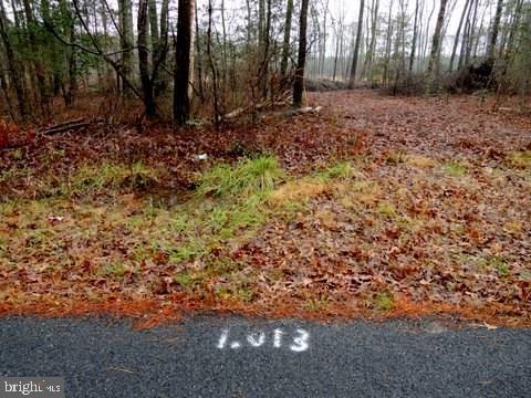 Lot 5 Asketum Branch Road, Unit 5 Georgetown, DE 19947 - Photo 9 of 15 Gallery Image 9