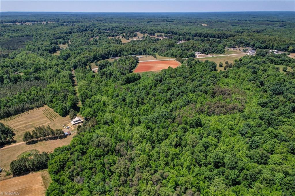 0 Us Highway West Ruffin, NC 27326 - Photo 8 of 12