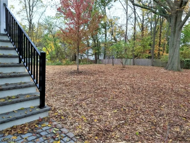 a view of a yard with trees