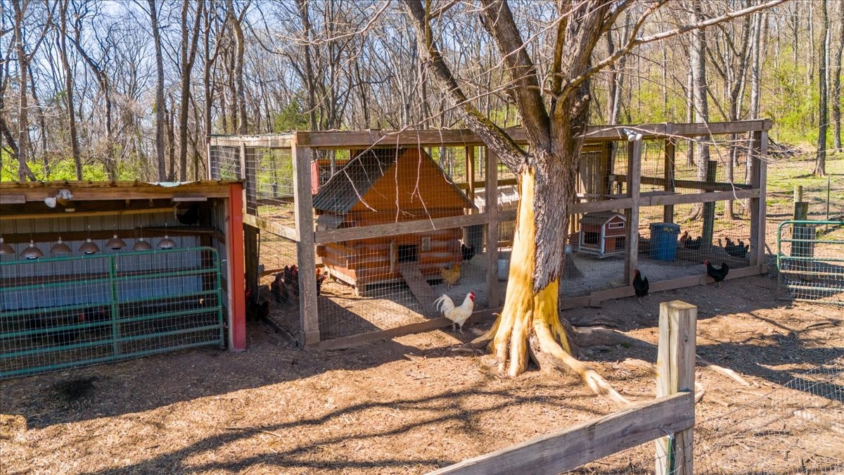 2831 Eastover Road Watertown, TN 37184 - Photo 69 of 88 Gallery Image 69