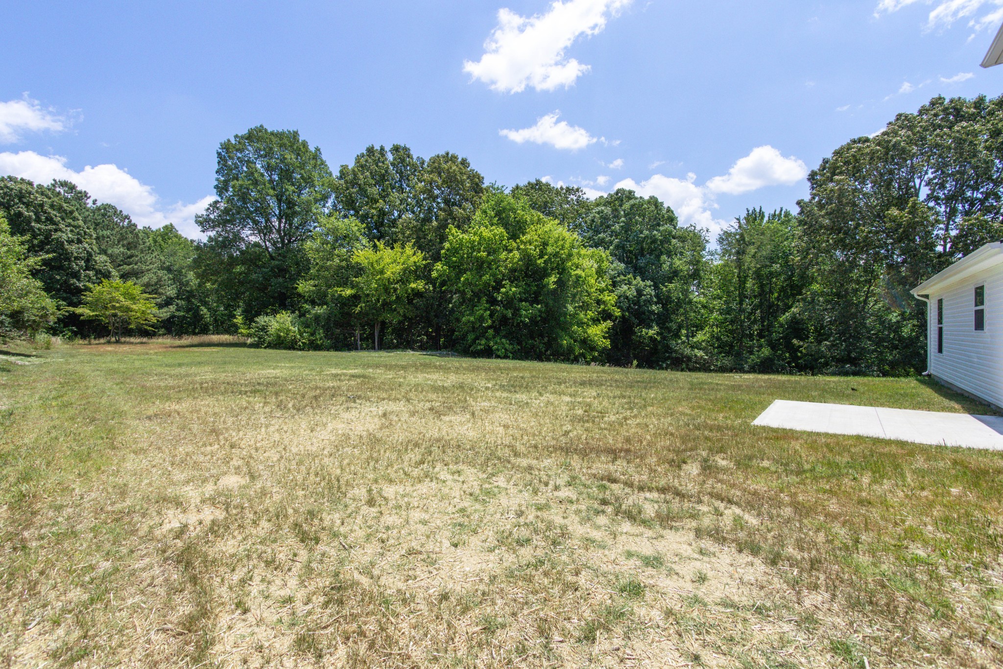 311 Old Columbia Road Dickson, TN 37055 - Photo 8 of 34 Gallery Image 8