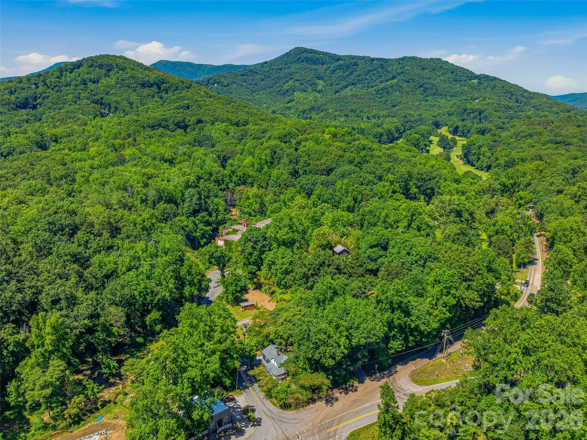895 North Trade Street Tryon, NC 28782 - Photo 41 of 45