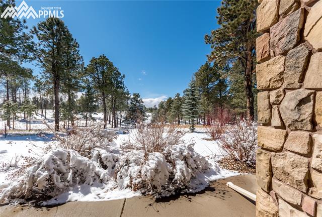 5465 Vessey Road Colorado Springs, CO 80908 - Photo 8 of 22 Gallery Image 8