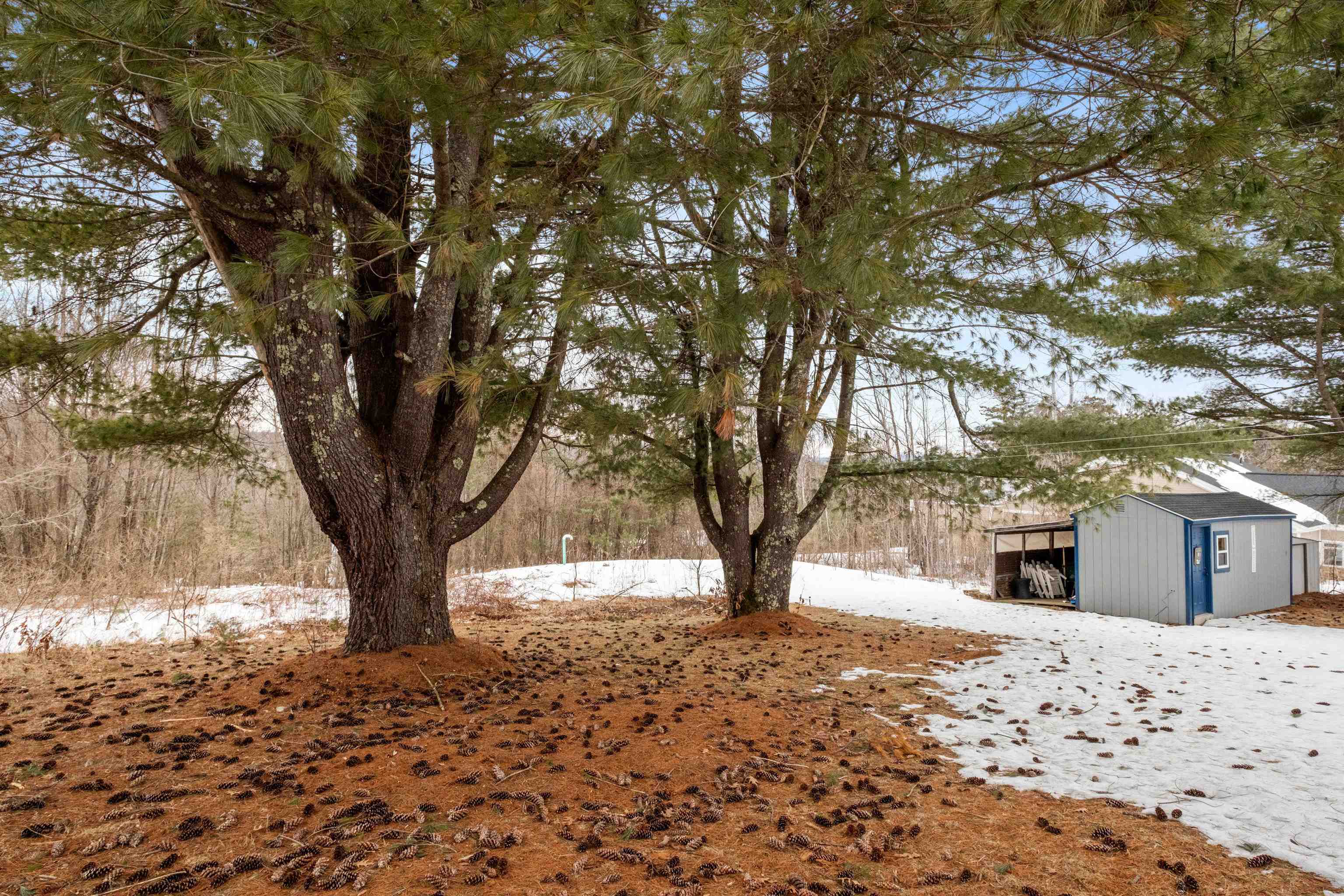 3 Parade Road Meredith, NH 03253 - Photo 27 of 40