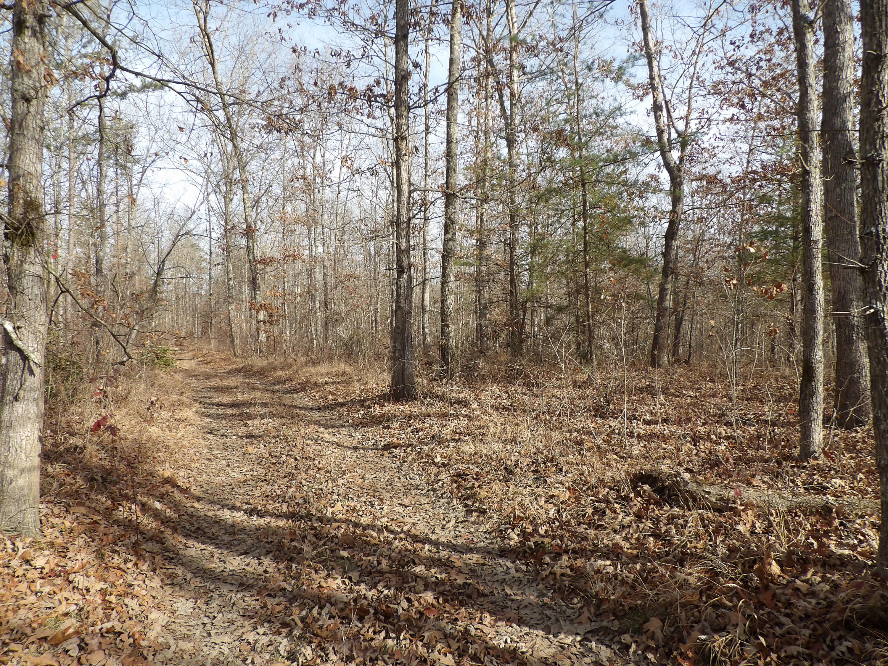 1 Bellview Road Pikeville, TN 37367 - Photo 11 of 40 100_2003