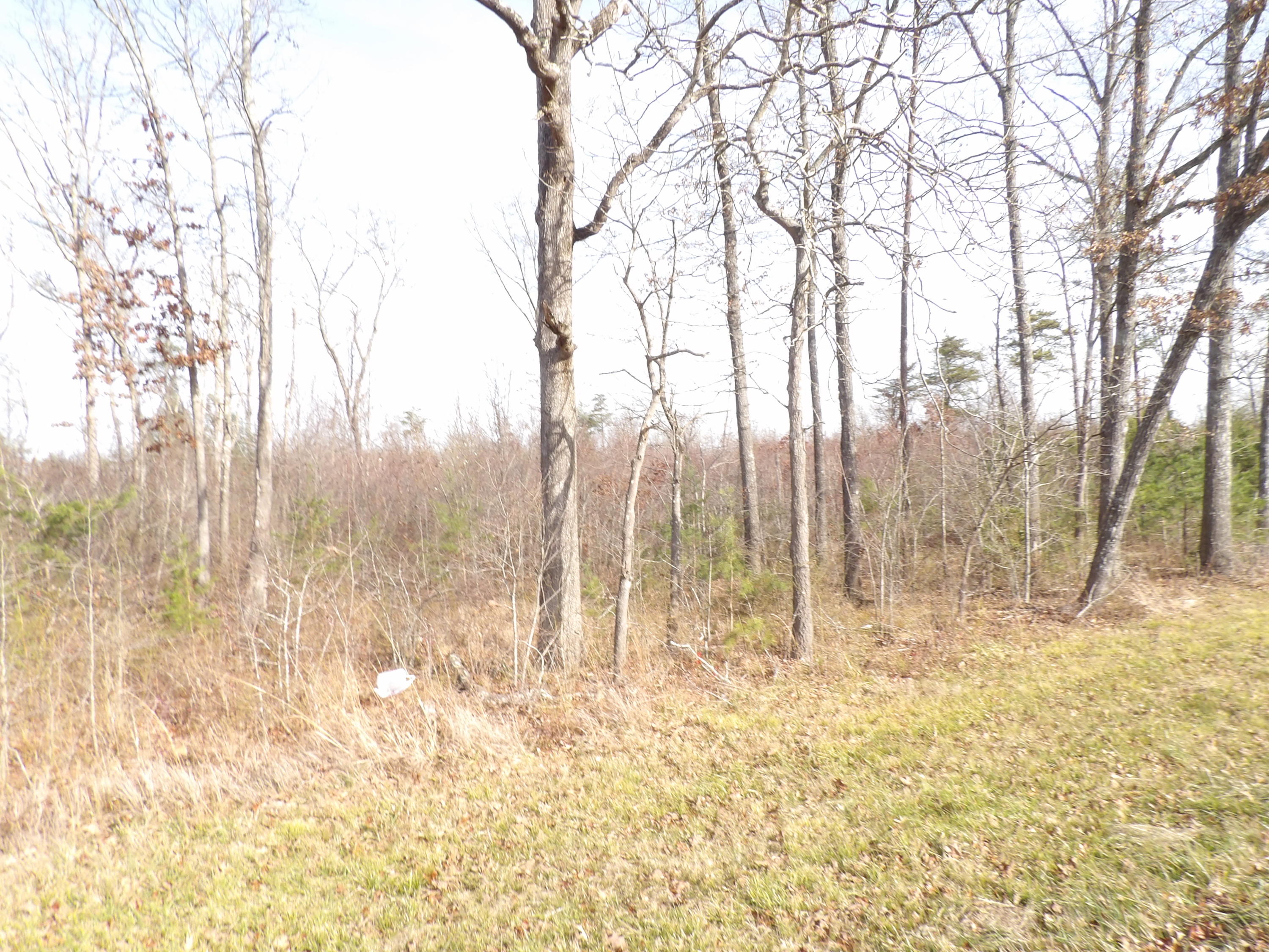1 Bellview Road Pikeville, TN 37367 - Photo 12 of 40 100_1990