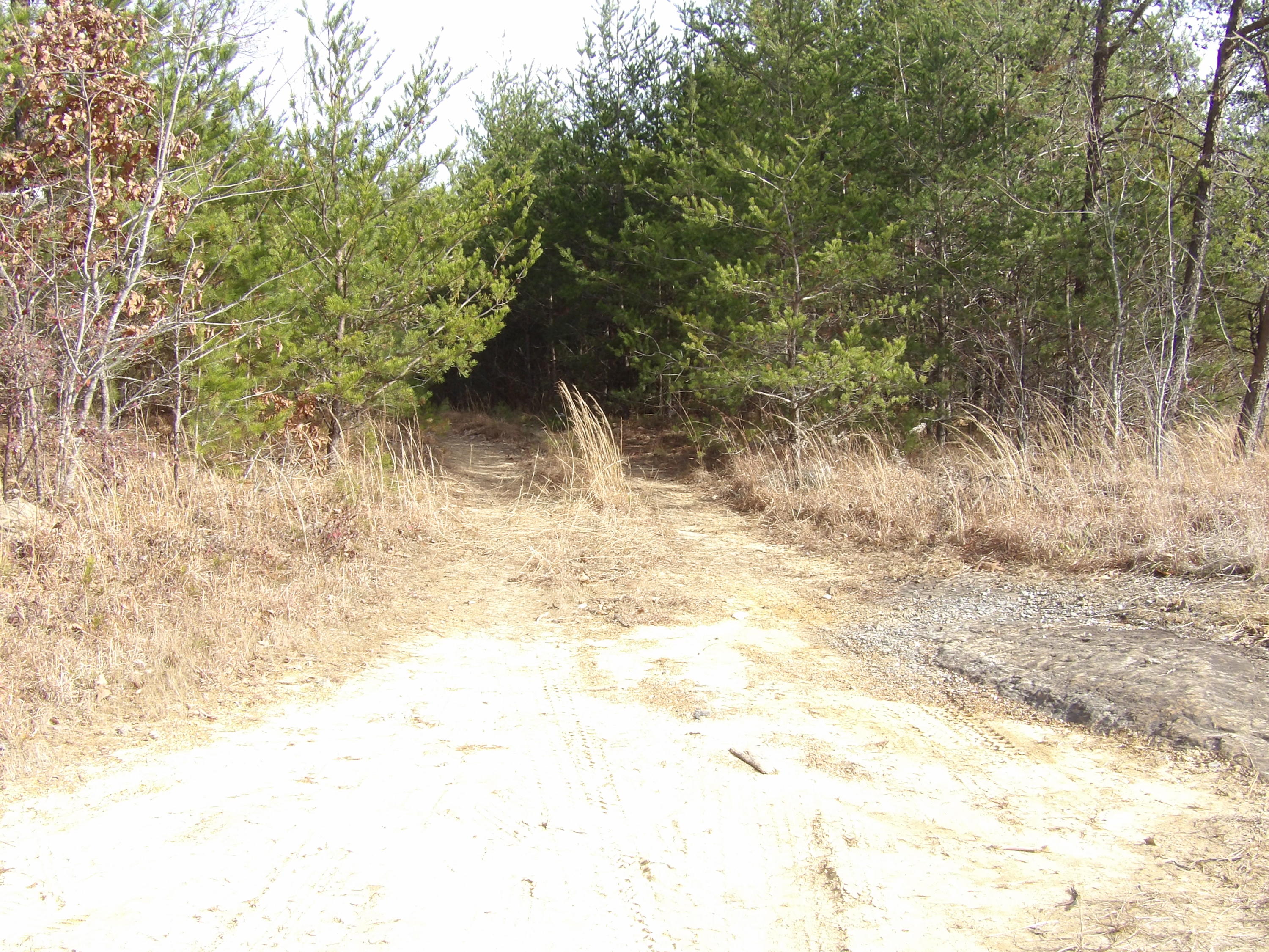 1 Bellview Road Pikeville, TN 37367 - Photo 19 of 40 100_1992
