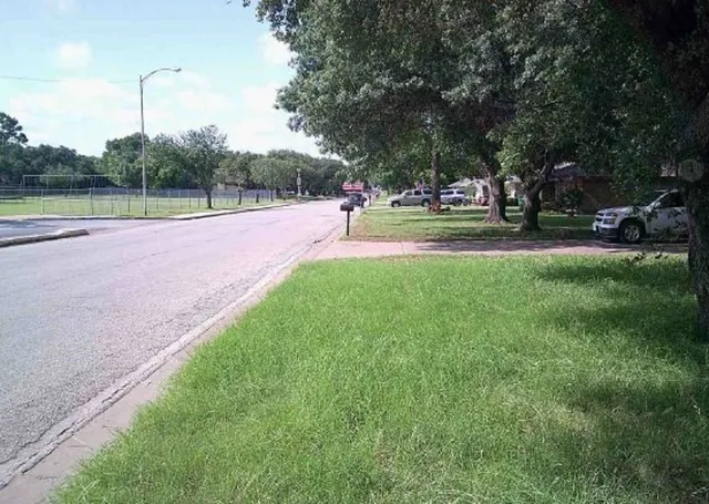 a park with lots of trees and buildings