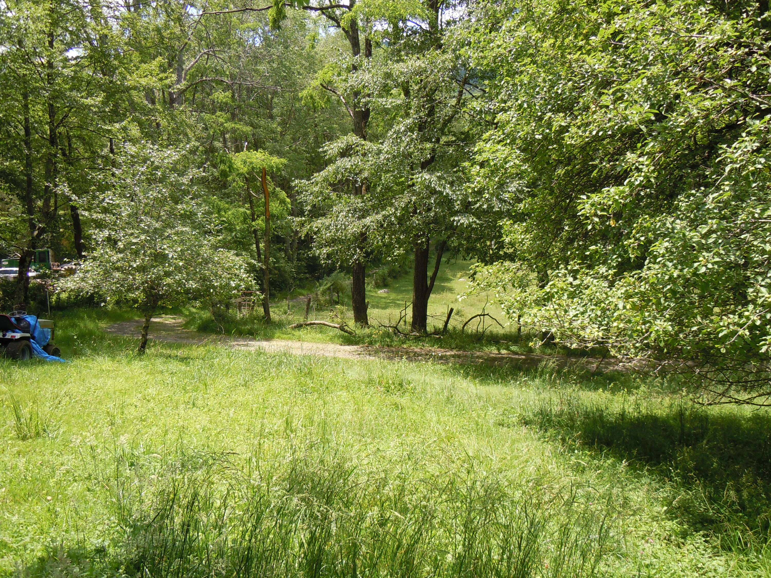 15240 Back Mountain Road Durbin, WV 26264 - Photo 35 of 82 Gallery Image 35