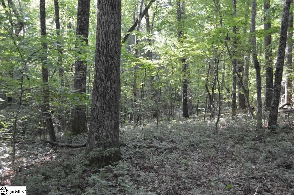 124 Old Flat Shoals Road Walhalla, SC 29691 - Photo 7 of 26 Gallery Image 7