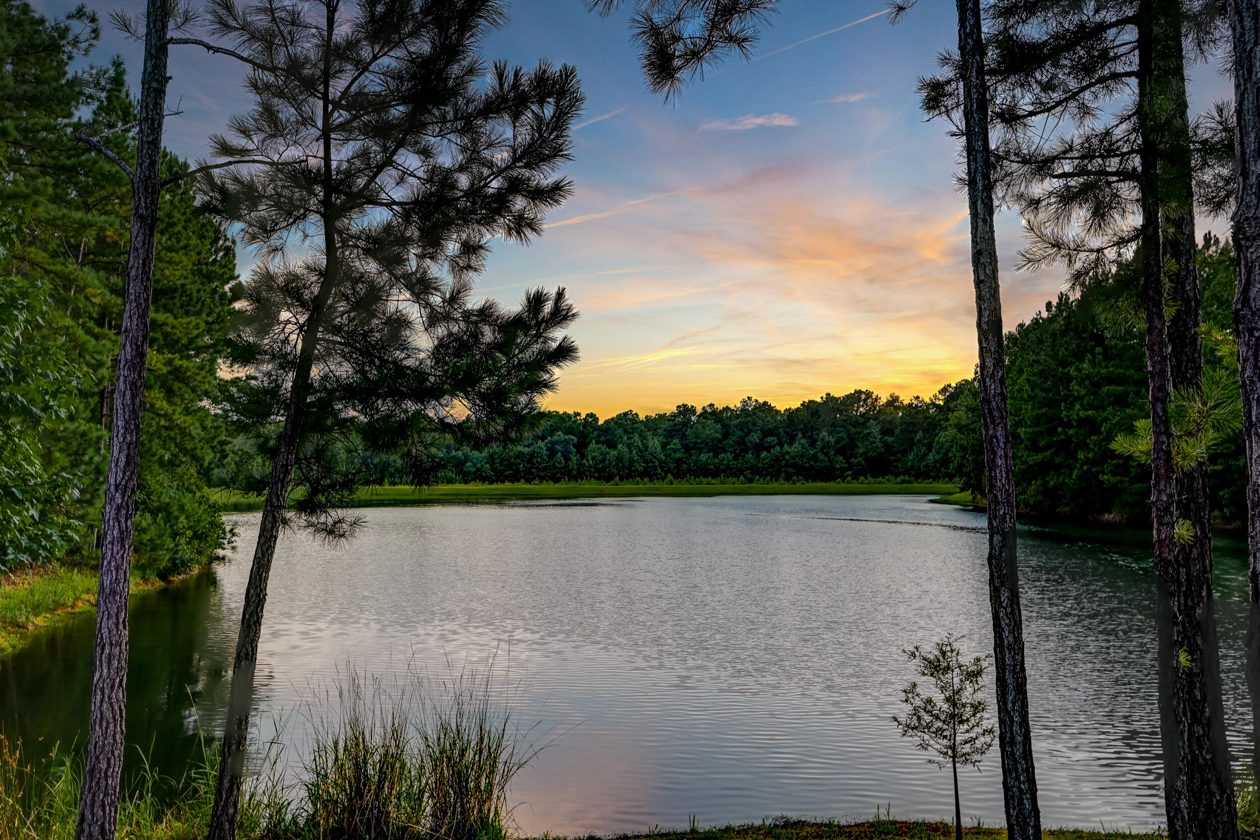 DSC_5185_6_7_8_9-Edit
