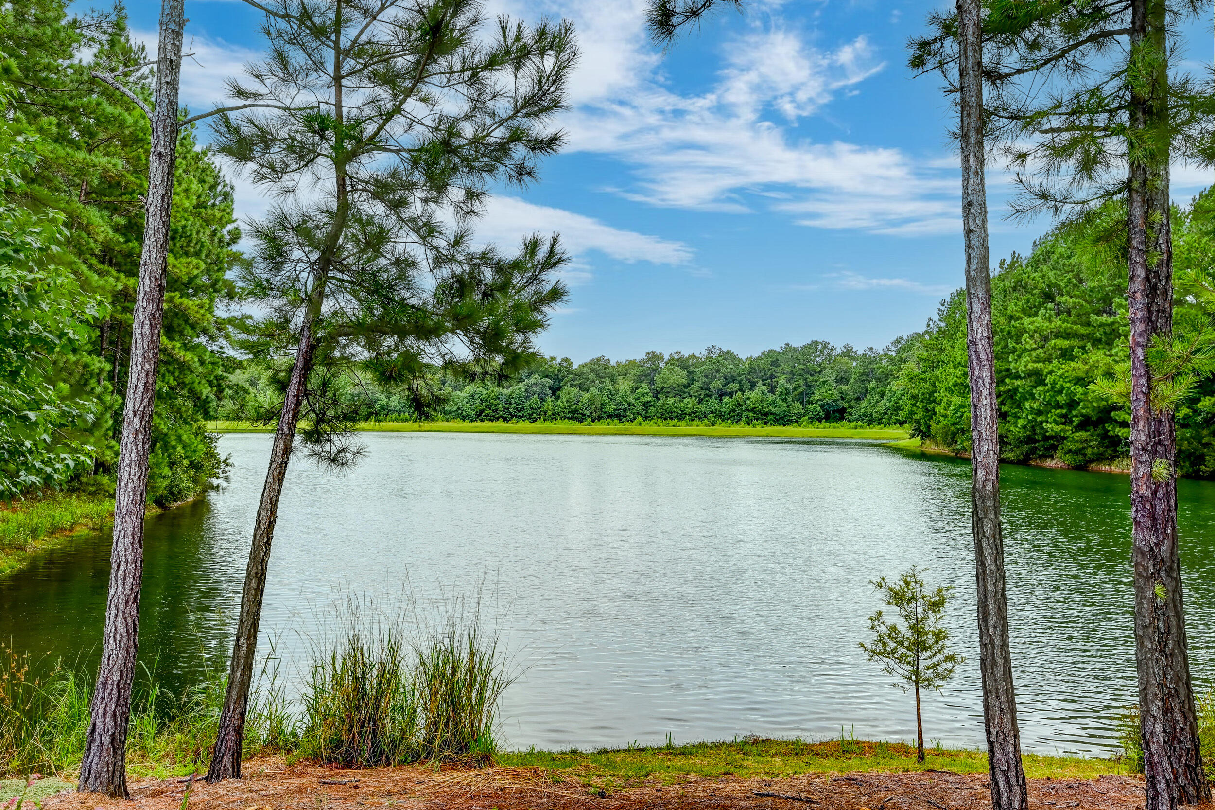 551 Pontoon Road Huger, SC 29450 - Photo 63 of 86 DSC_4860_1_2_3_4