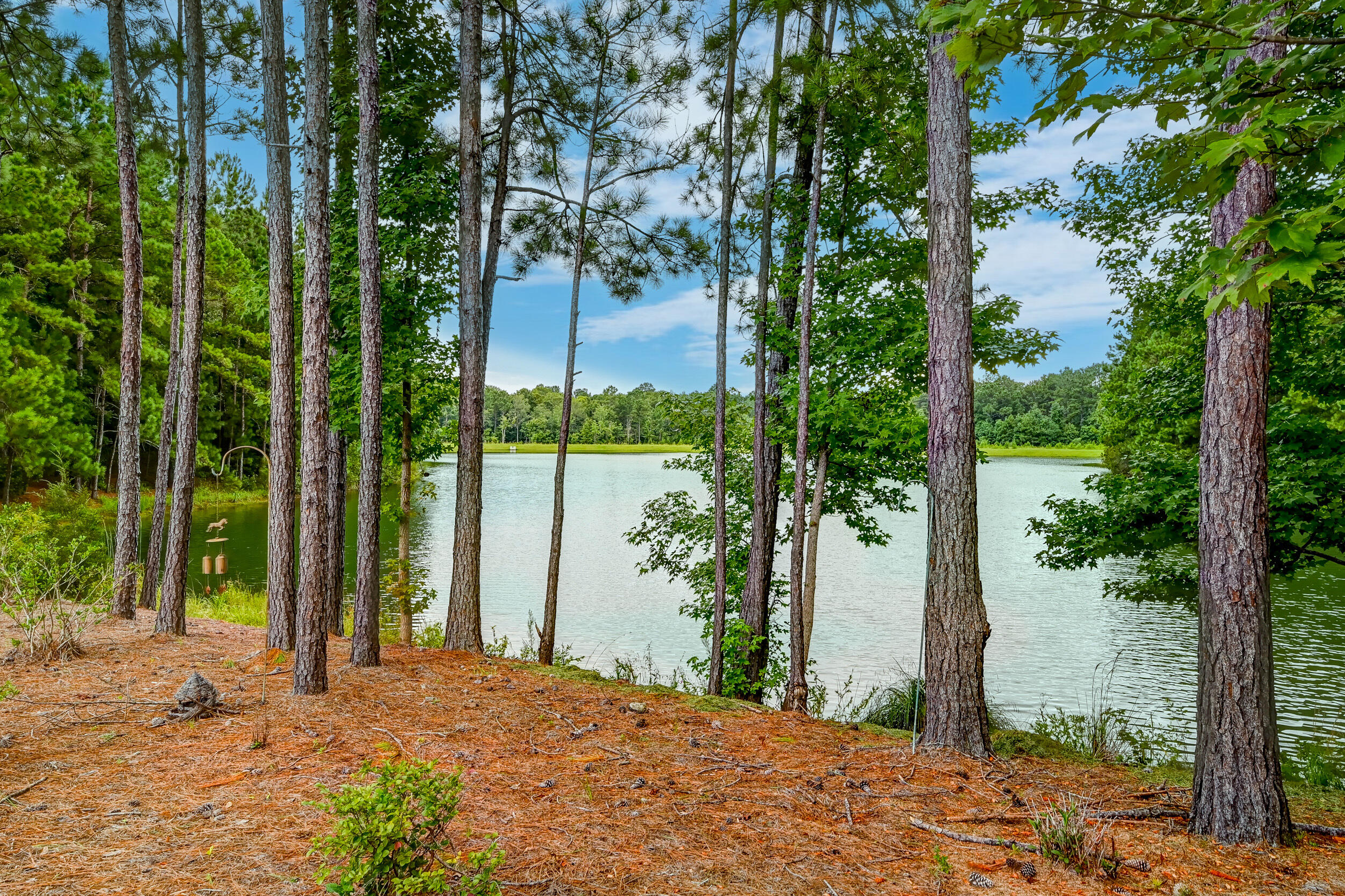551 Pontoon Road Huger, SC 29450 - Photo 64 of 86 DSC_4865_6_7_8_9
