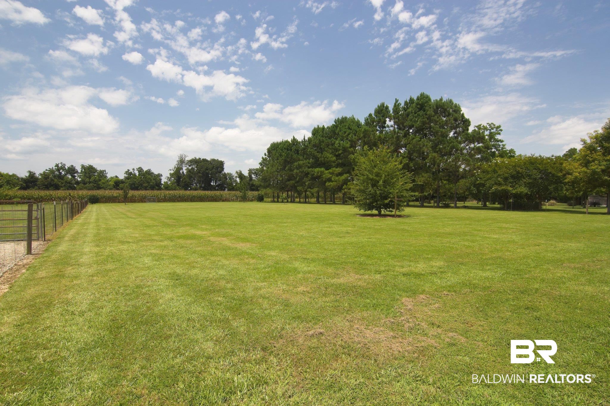 15439 Springfield Court Foley, AL 36535 - Photo 6 of 23