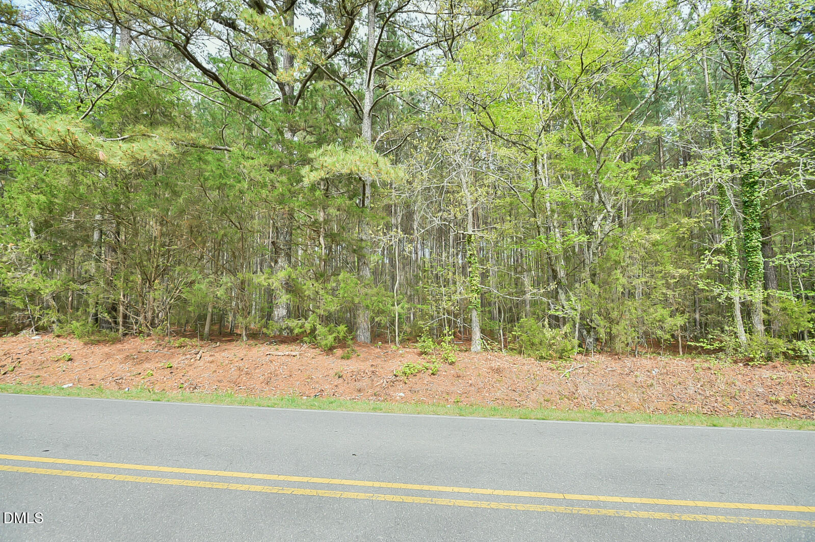 0 Morrow Mill Road Chapel Hill, NC 27516 - Photo 1 of 9 a view of a yard with a tree