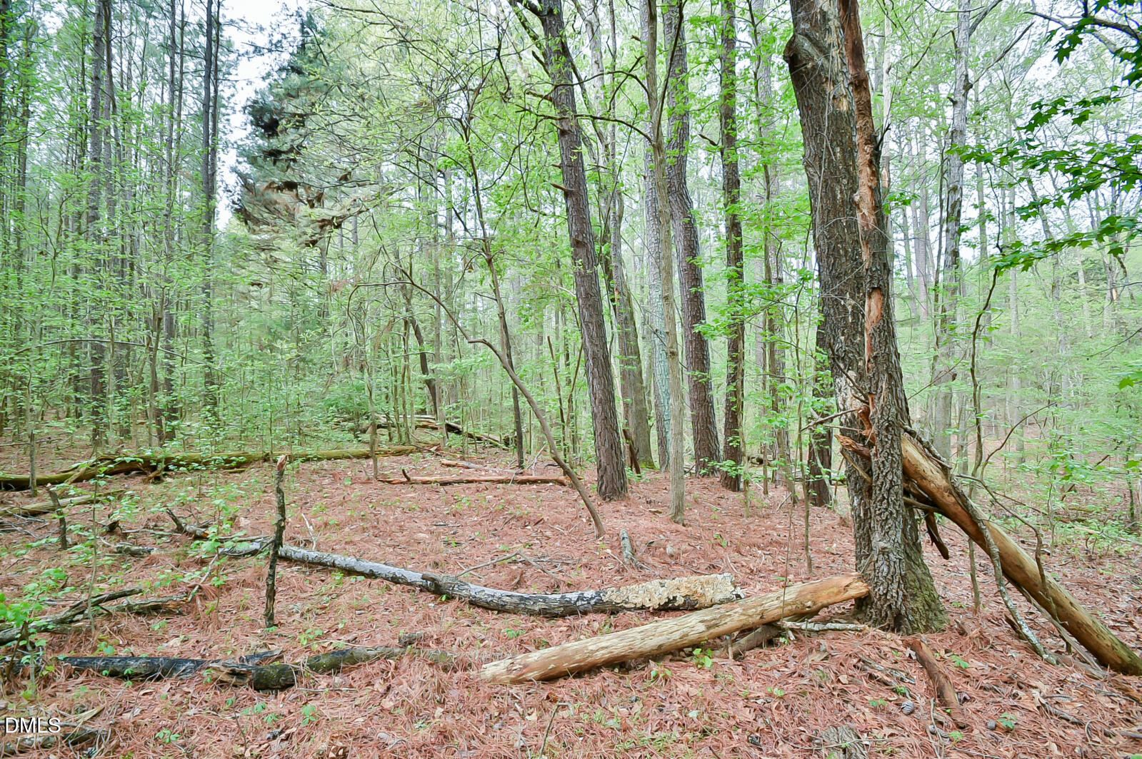 0 Morrow Mill Road Chapel Hill, NC 27516 - Photo 5 of 9 a view of a backyard