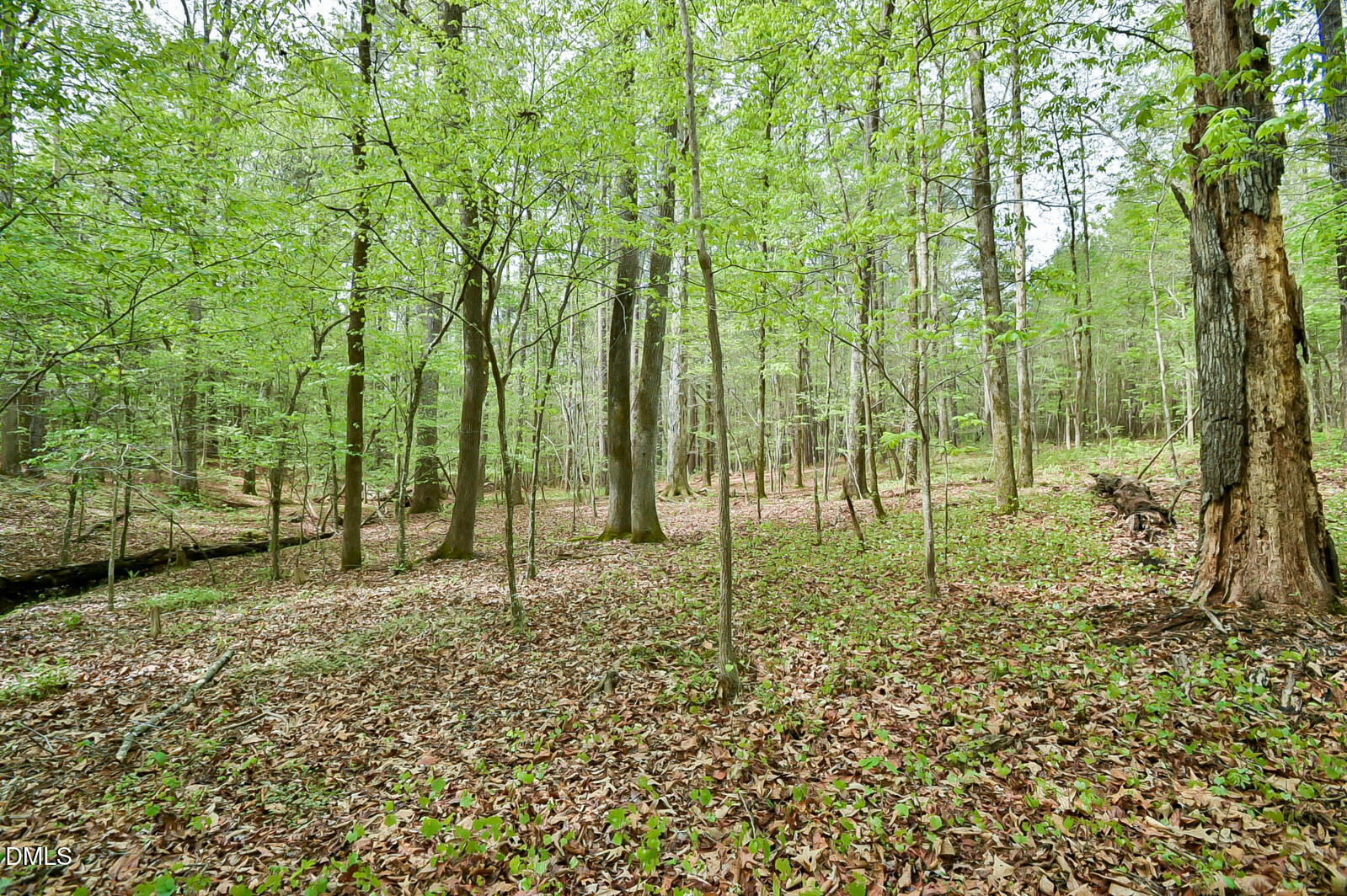 0 Morrow Mill Road Chapel Hill, NC 27516 - Photo 6 of 9 a view of outdoor space with deck and trees