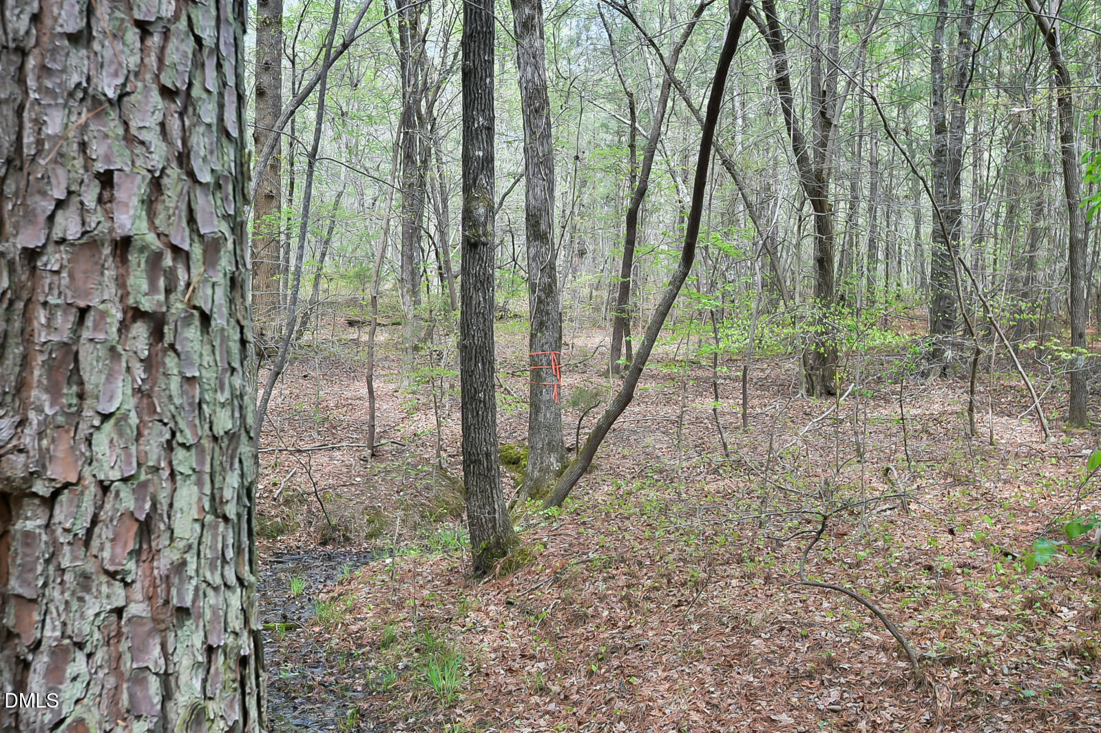 0 Morrow Mill Road Chapel Hill, NC 27516 - Photo 7 of 9 a backyard of a house with lots of green space