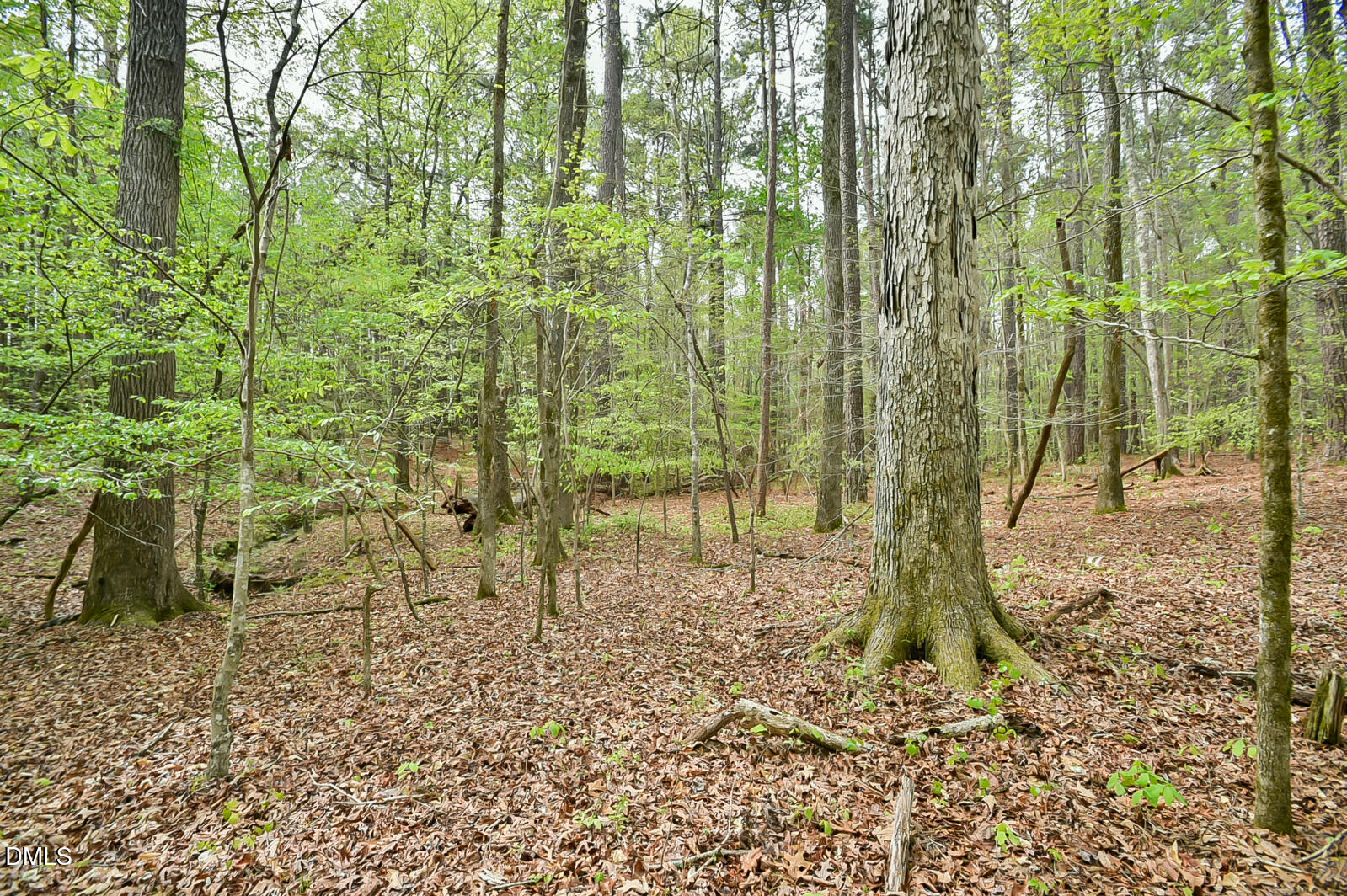 0 Morrow Mill Road Chapel Hill, NC 27516 - Photo 9 of 9