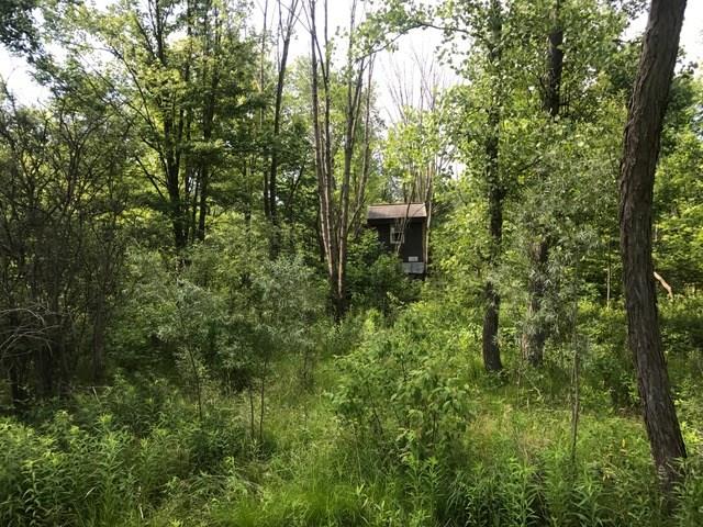 3845 Mitchell Road New Castle, PA 16105 - Photo 10 of 10 Second lot with tree house