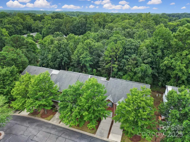 a view of a yard with plants and a bench