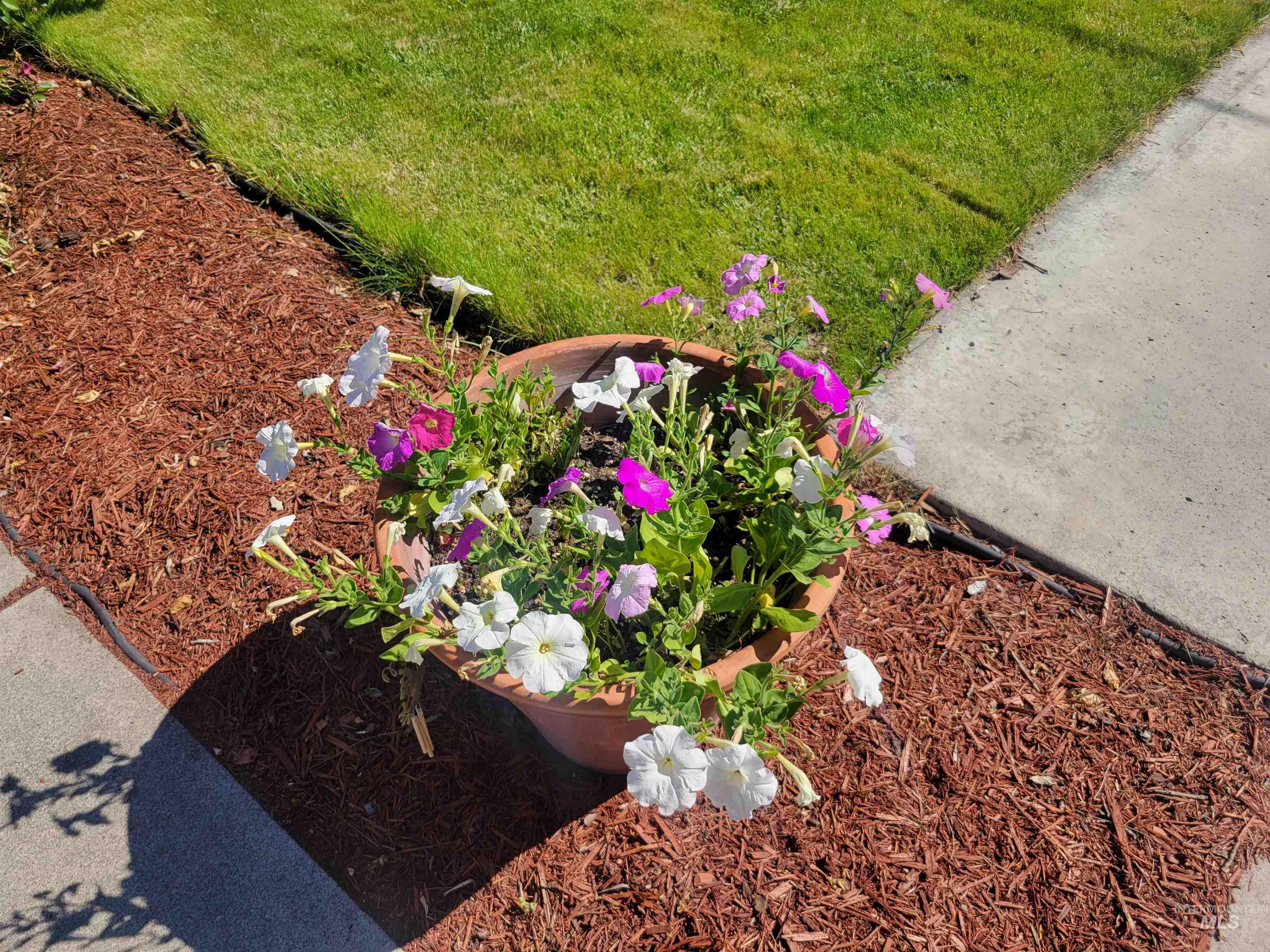 708 16th Street Clarkston, WA 99403 - Photo 31 of 39