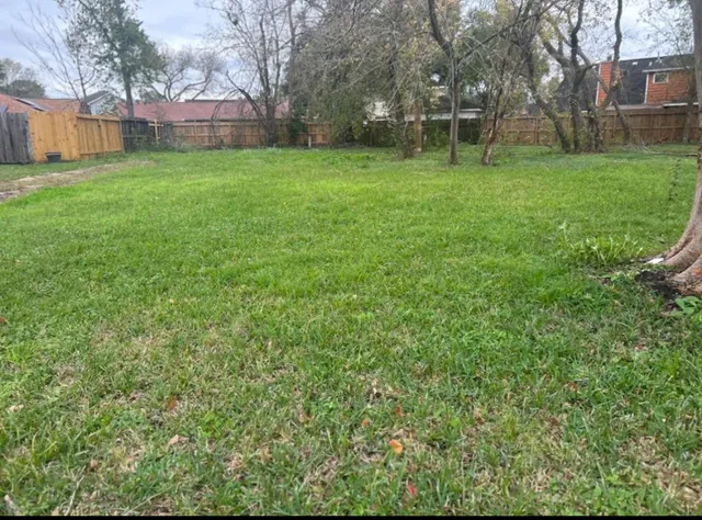 a view of a yard with a house