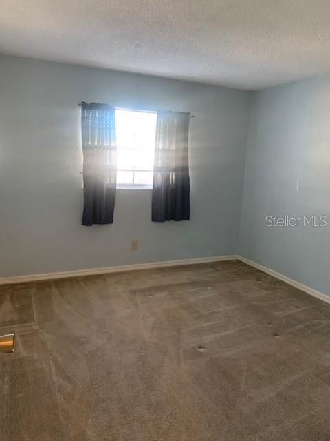 3416 Claires Court New Port Richey, FL 34655 - Photo 15 of 25