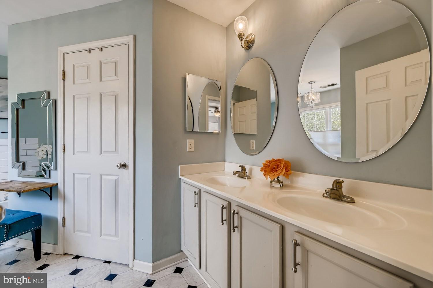 8380 Lark Brown Road Columbia, MD 21045 - Photo 14 of 43 Primary bath w/ double sink