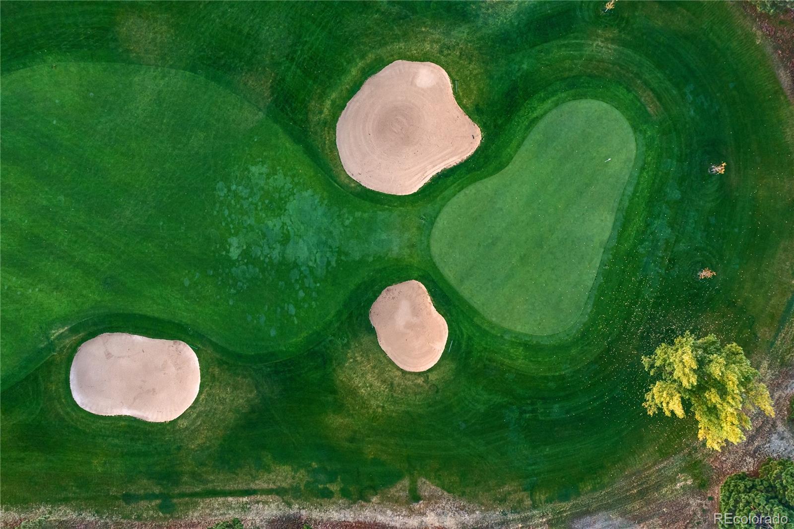 2836 Rockbridge Circle Highlands Ranch, CO 80129 - Photo 43 of 50