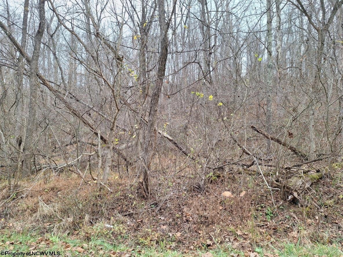 Tbd Jack Run Road Bridgeport, WV 26330 - Photo 11 of 19 Gallery Image 11