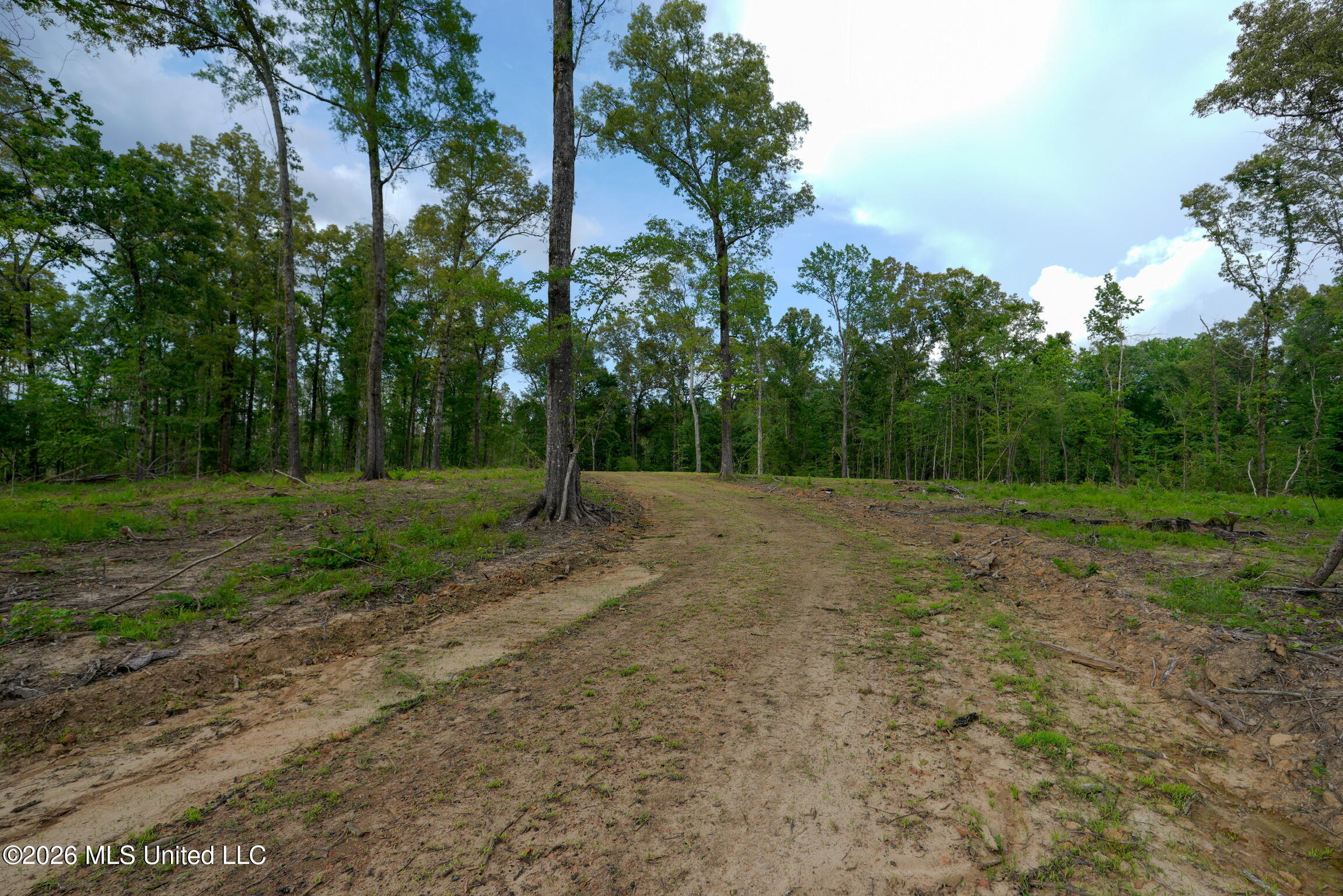 Lorance Road Clinton, MS 39056 - Photo 3 of 25 _DSC5480