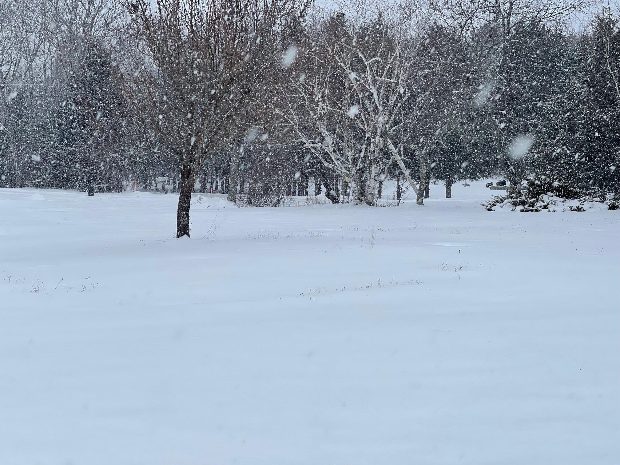 700 Old County Road Etna, ME 04434 - Photo 19 of 19 19