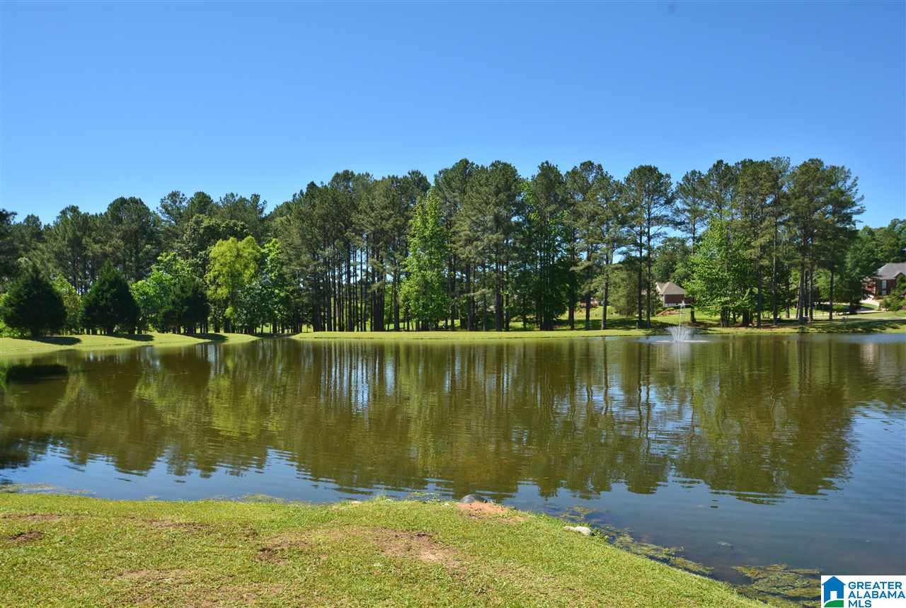 644 Wynlake Cove Alabaster, AL 35007 - Photo 3 of 47