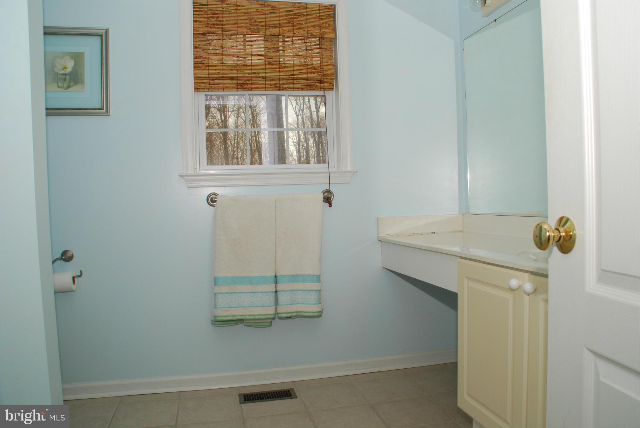 3712 Buffalo Road New Windsor, MD 21776 - Photo 17 of 27 Bath (Master)