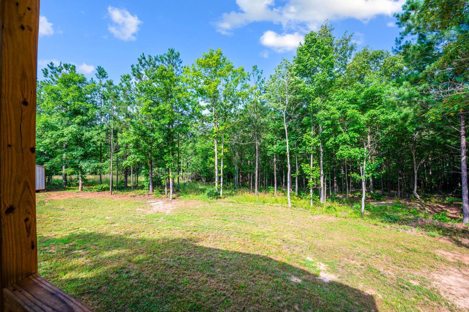 4560 Tye River Road Amherst, VA 24521 - Photo 28 of 40 a view of a tree in a yard