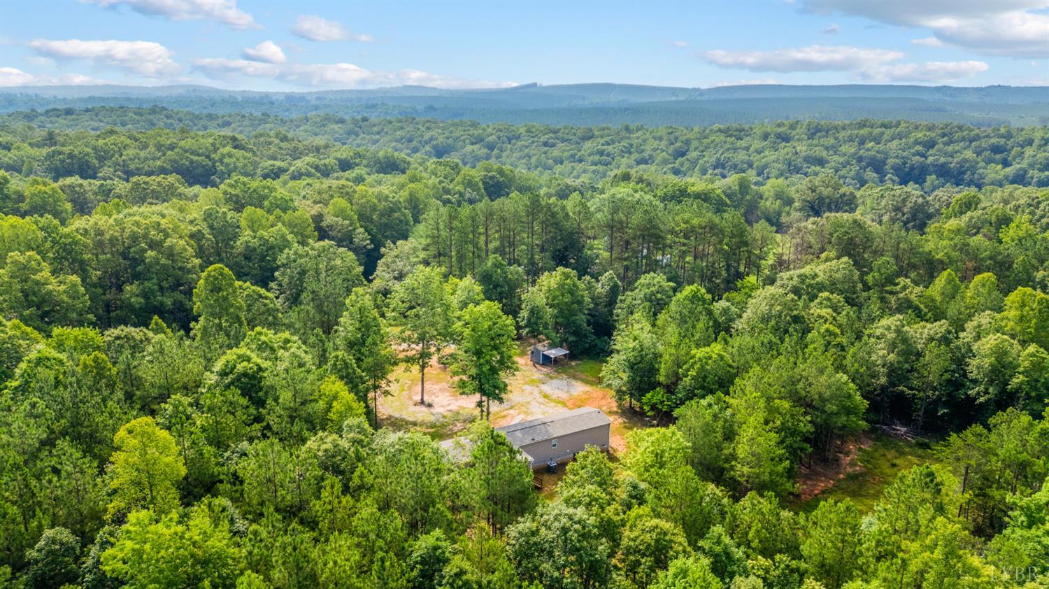 4560 Tye River Road Amherst, VA 24521 - Photo 39 of 40 a view of a city with lush green forest