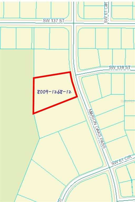 Marion Oaks Ocala, FL 34473 - Photo 1 of 2