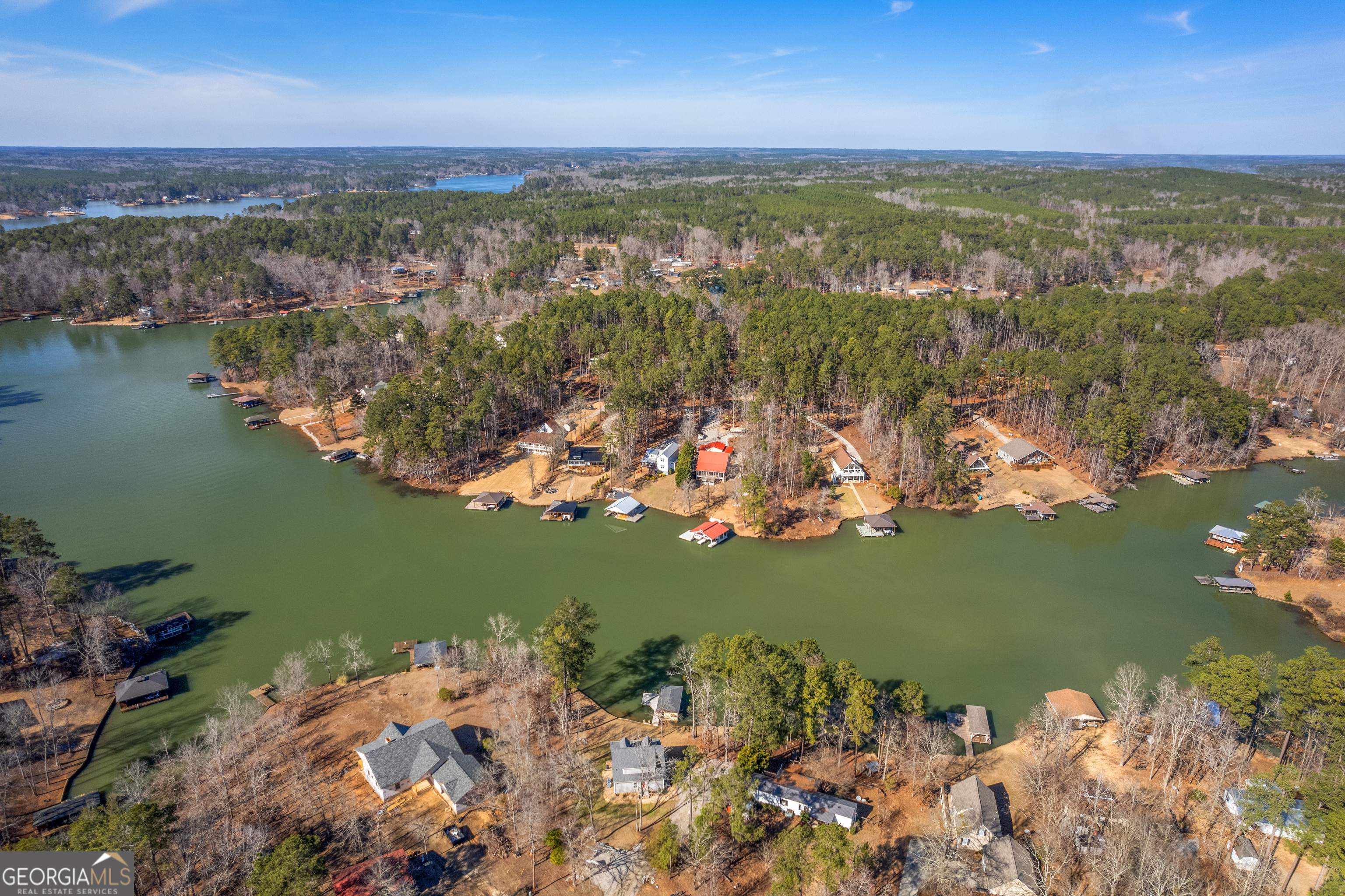 188 Sunhaven Lane Sparta, GA 31087 - Photo 61 of 63 an aerial view of ocean and residential houses with outdoor space